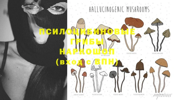 прущая мука Бронницы